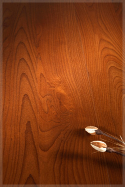 pollmeier brown beech