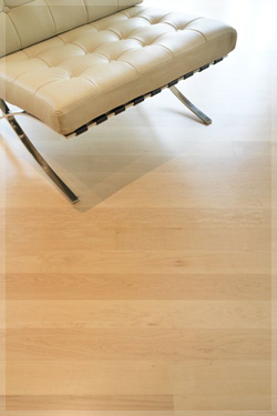 canadian hard mapple